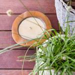 Wooden tray with candle, basket, and plant on wooden deck