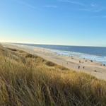 Strand mit Dünen und Menschen. Blick aufs Meer unter blauem Himmel.