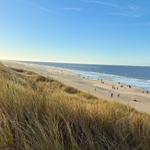 Strand mit Dünen und Menschen. Blick auf das Meer unter blauem Himmel.