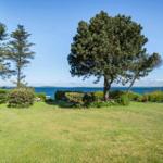 Green lawn with trees and view of the sea.