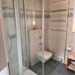 Bad mit Dusche, Toilette und Heizkörper an der Wand.