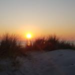 Sonnenuntergang über dem Meer mit Dünen und Strandgras im Vordergrund.
