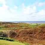 Panoramablick auf Küstenlandschaft mit grünen und roten Dünen, Meer und Himmel.