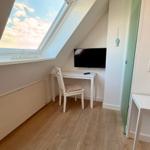 Schlafzimmer mit Dachfenster, Schreibtisch und Fernseher.