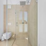 Shower cabin with showerhead and toilet in modern bathroom setup.