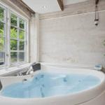 Jacuzzi bath with large window and plant