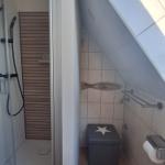 Dusche mit Duschwand, Toilette und Sitzkasten mit Stern. Dachschrägen-Dach mit Fenster.
