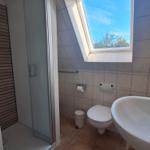 Badezimmer mit Dusche, WC und Waschbecken. Dachfenster mit Blick auf Himmel und Bäume.