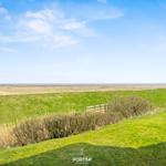 Green field with hedge and fence under blue sky.