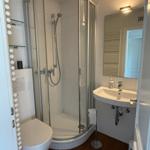 Bad mit Dusche, Waschbecken und Toilette. Holzfußboden und Spiegel.