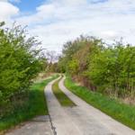 Landschaft