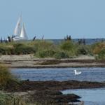 Landschaft