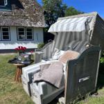 Hängesessel mit Sonnenschutz, Tisch mit Blumen und Kühler im Garten.
