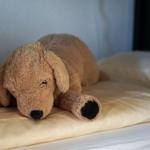 ... Etagenbett