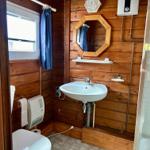 Badezimmer mit Holzwand, Waschbecken, Toilette und Duschbereich.