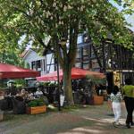 beliebte Bummelallee, Burgberg und Kurpark leicht zu Fuß erreichbar

popular promenade, castle hill and spa gardens within walking distance