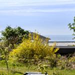 House with sea view, surrounded by greenery and shrubs.