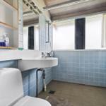 Bathroom with toilet, sink, and shower. Blue tiles on the walls.