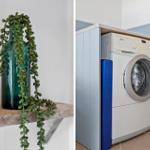 Grüne Pflanze in Glasflasche auf Holzregal. Waschmaschine in Küchenbereich mit Arbeitsplatte.