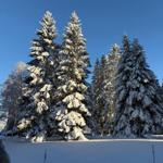 Unser Ferienpark bei Schnee
