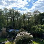 Garten mit Gewächshaus, Schaukel und Blumen unter Bäumen.