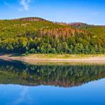 Ein ruhiger See spiegelt den bewaldeten Hügel und den blauen Himmel wider.