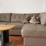 Ein braunes Sofa mit Kissen und einem Holztisch mit Pflanze.