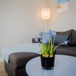 Ein Wohnzimmer mit grauem Sofa, blauem Tisch und Blumen in Topf.
