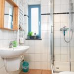 Badezimmer mit Dusche, Waschbecken und Toilette. Blaues Fenster und Holzspiegelkasten.