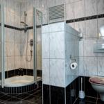 Badezimmer mit Dusche, Toilette und Heizkörper an der Wand.