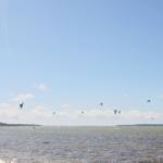 Kitesurfen auf dem Wasser unter blauem Himmel mit mehreren bunten Kites.