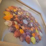 Framed artwork with colorful seashells arranged in a circular pattern.