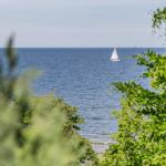 Landschaft