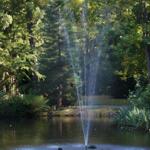 Ein Springbrunnen im Teich umgeben von Bäumen und Pflanzen.