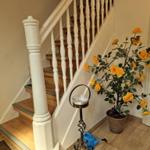 Hausflur mit Treppe, Pflanze und Laterne