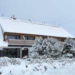Snow-covered house with wooden balcony and snow-dusted trees