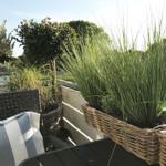 Terrasse mit Sitzmöbeln, Pflanzen in Körben und Blick auf Grünflächen.