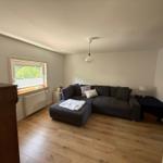 Wohnzimmer mit Ecksofa, Holzboden und Fenster. Deckenleuchte und Kissen.