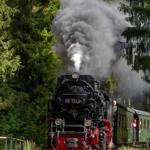 Dampflokomotive fährt durch Wald mit Rauch und grünen Bäumen.