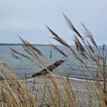 Naturstrand
