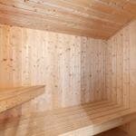 Holzsauna mit Banken und Steinmulde.