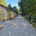 Pflasterweg führt an gelbem Gebäude mit Museumsschild vorbei. Rechts Holzgeländer und Bäume.