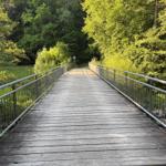 Holzbrücke mit Metallgeländer führt durch grünes Waldgebiet.