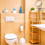 Badezimmer mit Toilette, Waschbecken und Holzregal. Wandspiegel und Blumentopf sichtbar.