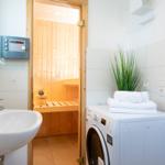 Badezimmer mit Waschmaschine, Sauna und Pflanze.