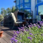 Lavendelblüten im Vordergrund, Hintergrund zeigt Terrasse mit Gartenmöbeln und blauem Haus.