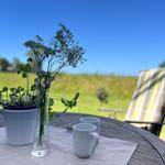 Auf dem Tisch stehen zwei Tassen, eine Vase mit Blumen und eine Pflanze. Im Hintergrund eine Liege.