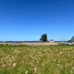 Grünes Feld mit Booten und kleinem Haus am Ufer unter blauem Himmel.