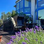 Terrasse mit Liegestühlen, Tisch und Pflanzen vor einem Haus mit blauen Fenstern.