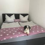 Ein Bett mit rosa Bettwäsche und einem Hund darauf.